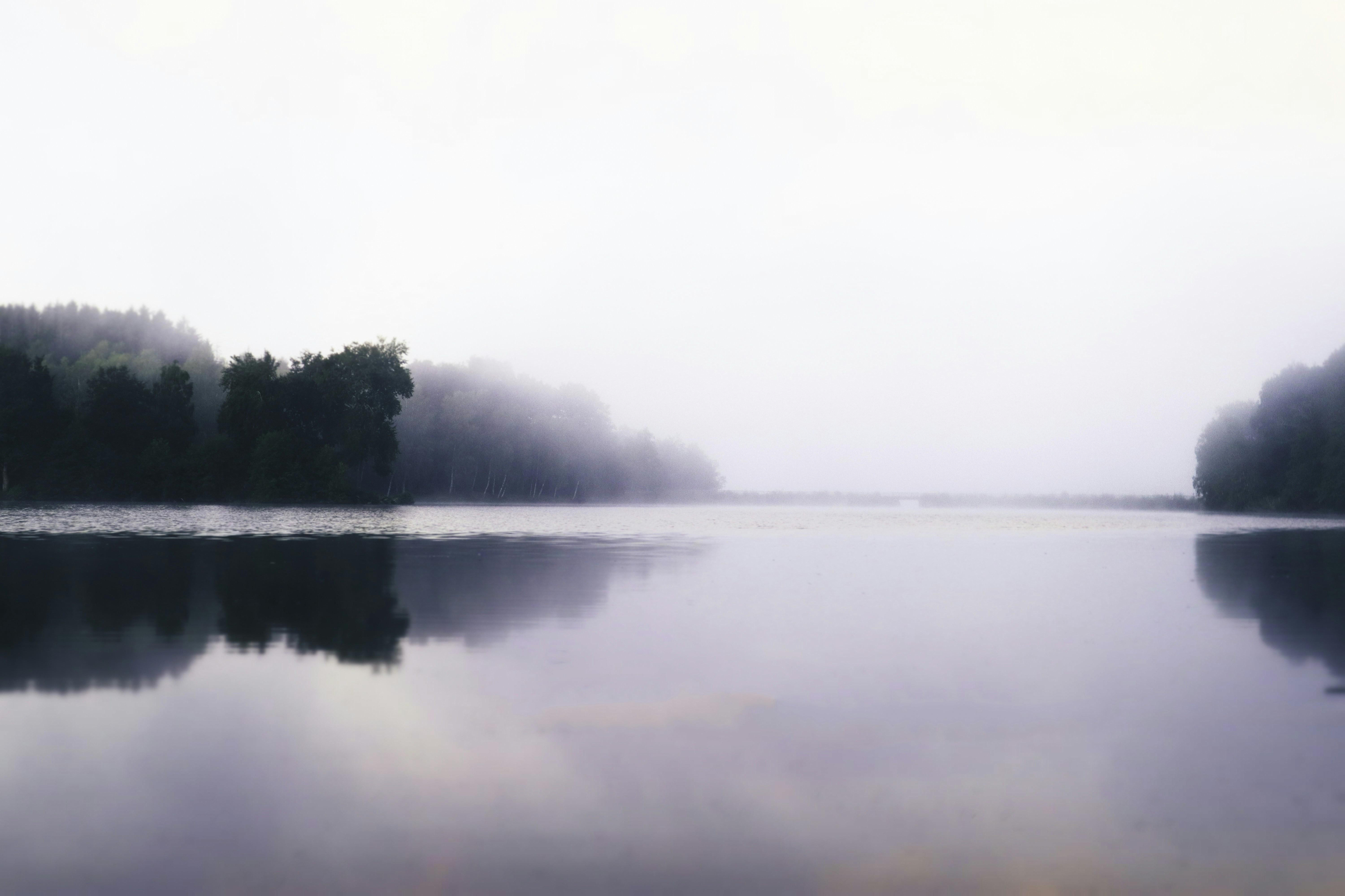 A still, fog-covered lake at dawn, dark trees mirrored on the water.