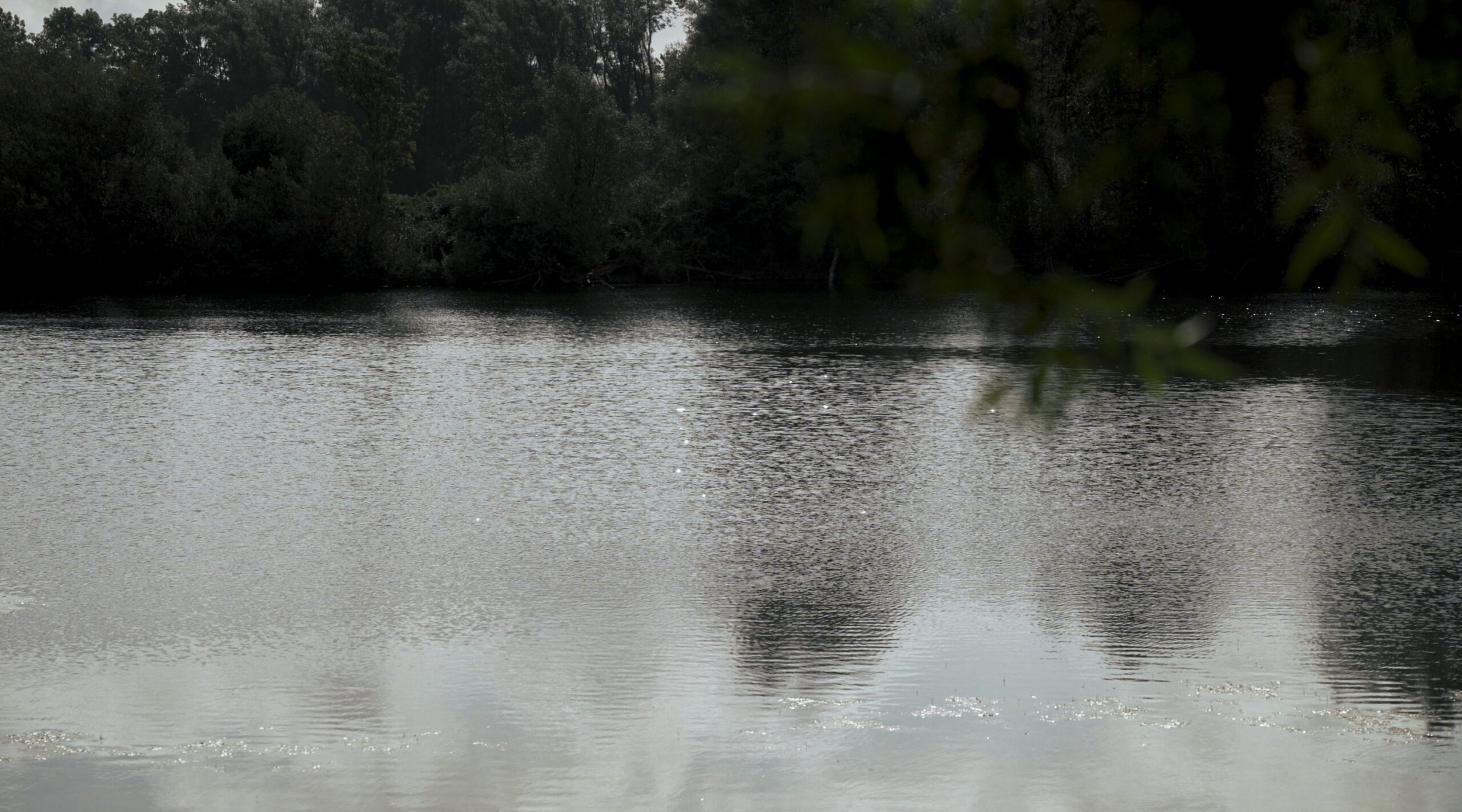 Environment